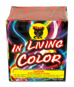 BLACK CAT IN LIVING COLOR